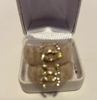 Beautiful Lux Earrings